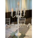 Centre Piece - 5 arm candle arb